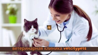 ветеринарная клиника vetcitypets`