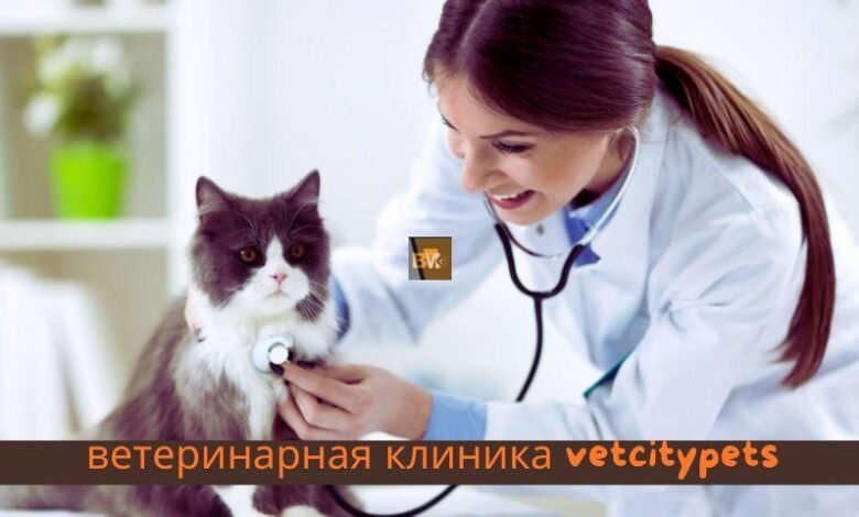 ветеринарная клиника vetcitypets`